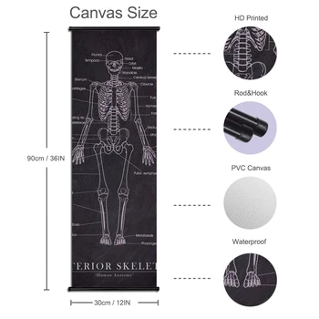 Panza Pictura Arta De Perete Clinica Medicală Anatomia Omului Poster Clasic Printuri Agățat Suluri Murală Poze Dormitor Decor Acasă
